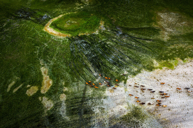 Zhang Jiyuan - Traces